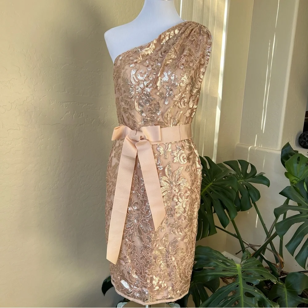 Tadashi Shoji $328 Champagne Sequined One Shoulder Knee Length Dress 12 - Picture 5 of 13